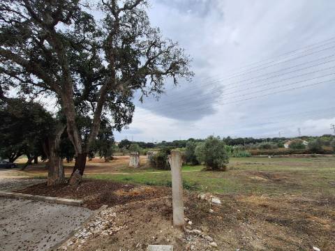 Terreno Urbano para Moradia Isolada