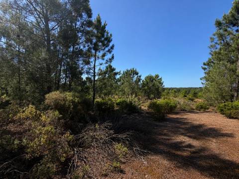 Oportunidade de investimento estratégico em Azeitão - 185.000€