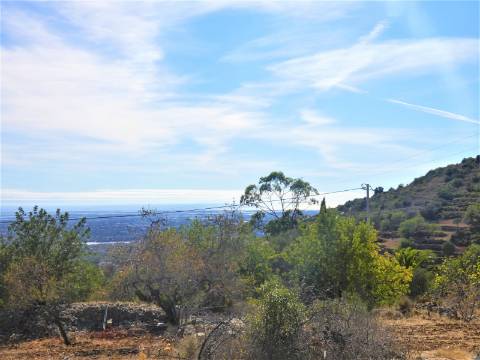 Terreno Rústico com vista Mar!