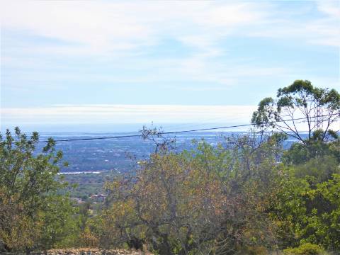 Terreno Rústico com vista Mar!