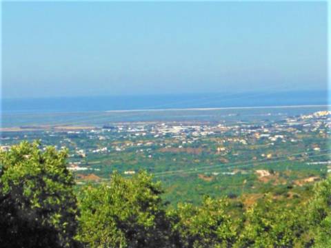 Terreno Rústico com vista Mar!