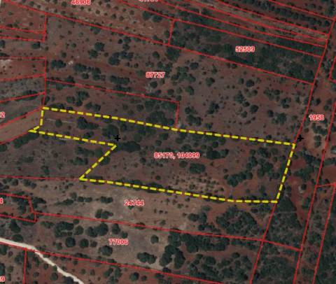 Terreno Rústico, São Sebastião, Loulé