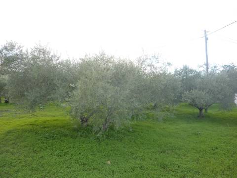 Lote de terreno com projecto aprovado para 2 Moradias,
Moradias V4 com com 340m2, rés do chão e primeiro andar.