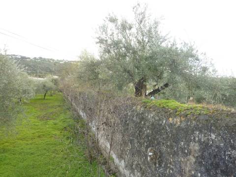 Lote de terreno com projecto aprovado para 2 Moradias,
Moradias V4 com com 340m2, rés do chão e primeiro andar.