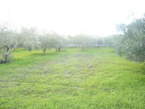 Lote de terreno com projecto aprovado para 2 Moradias,
Moradias V4 com com 340m2, rés do chão e primeiro andar.