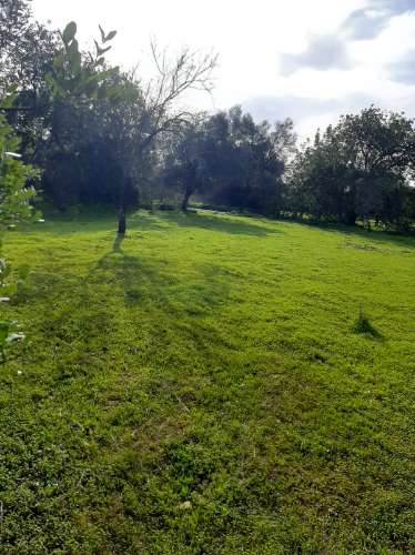 Terreno Rustico Rua da sic