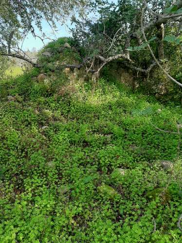 Terreno Rustico Rua da sic