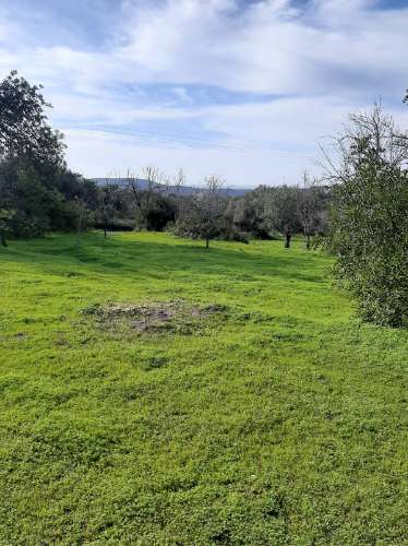 Terreno Rustico Rua da sic