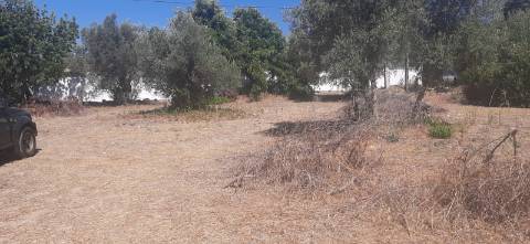 Terreno para construção 800m, pode ser 2 geminadas e 2 moradias individuais