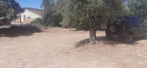 Terreno para construção 800m, pode ser 2 geminadas e 2 moradias individuais