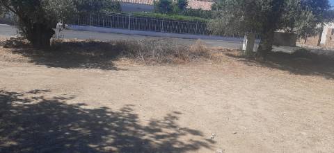 Terreno para construção 800m, pode ser 2 geminadas e 2 moradias individuais