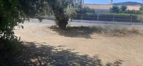 Terreno para construção 800m, pode ser 2 geminadas e 2 moradias individuais