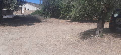 Terreno para construção 800m, pode ser 2 geminadas e 2 moradias individuais