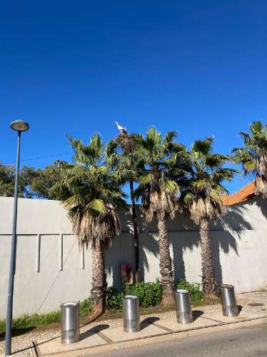 T2 em condomínio com piscina em vilamoura