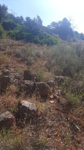 Terreno com 3 Ruinas em Vale Judeu