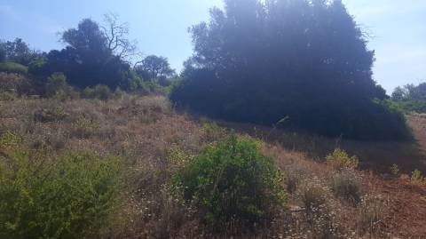 Terreno com 3 Ruinas em Vale Judeu