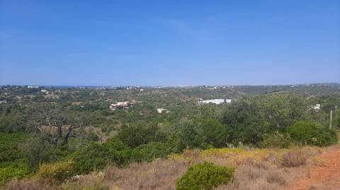 Terreno com 3 Ruinas em Vale Judeu