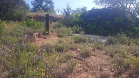 Terreno com 3 Ruinas em Vale Judeu