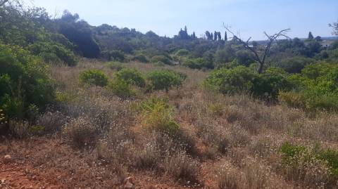 Terreno com 3 Ruinas em Vale Judeu