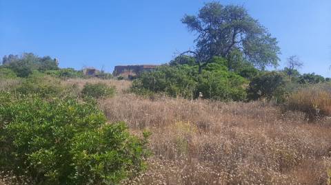 Terreno com 3 Ruinas em Vale Judeu