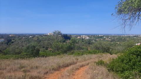 Terreno com 3 Ruinas em Vale Judeu
