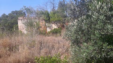 Terreno com 3 Ruinas em Vale Judeu