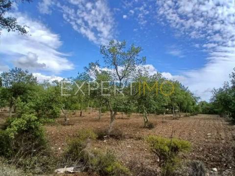 Magnífica Moradia Nova de Alto Rendimento - 4 Quartos - Piscina - Campo - São Brás de Alportel