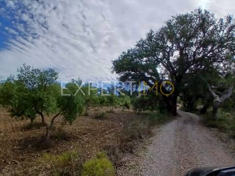 Magnífica Moradia Nova de Alto Rendimento - 4 Quartos - Piscina - Campo - São Brás de Alportel