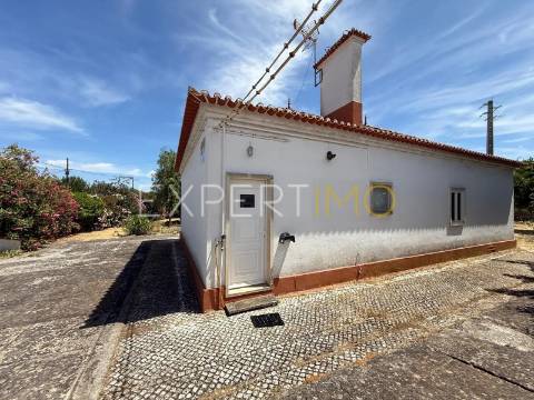 Quinta com Potencial Urbanístico- Projeto para 13 Moradias Carregado