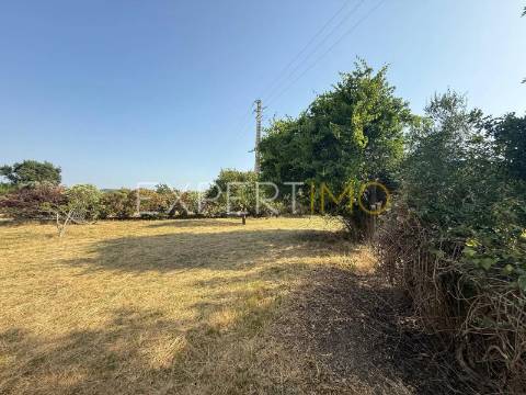 Quinta com Potencial Urbanístico- Projeto para 13 Moradias Carregado