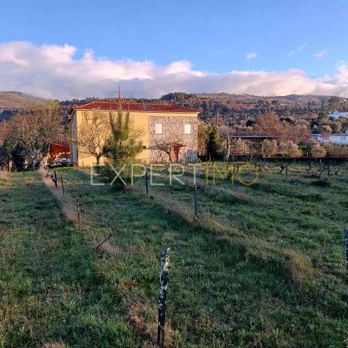 Quinta, moradia premium e terreno em Parque Natural Serra Estrela