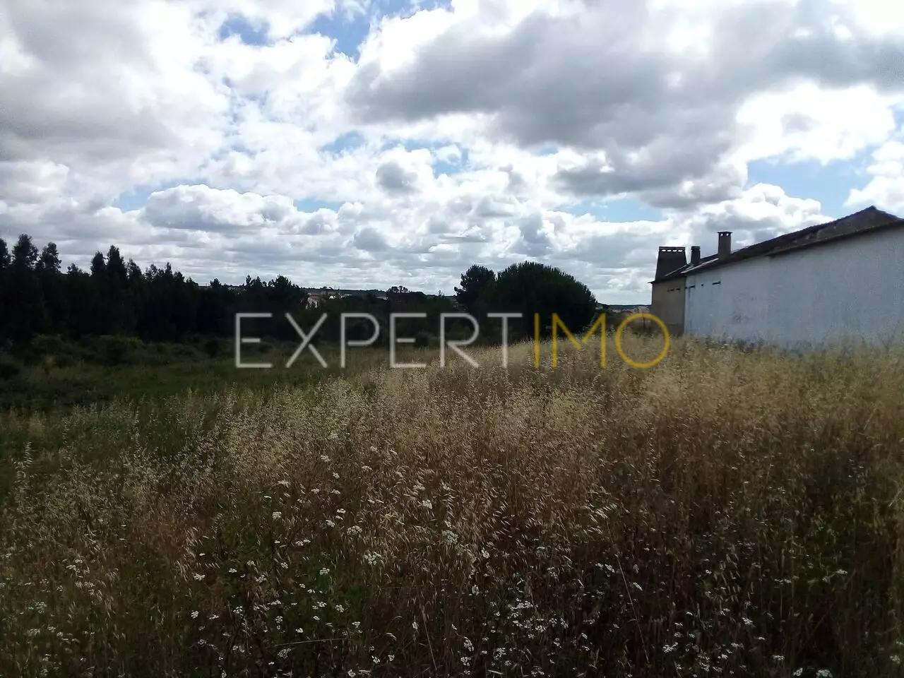 Terreno Manique do Intendente Azambuja com 2,6 hectares, água, a 30 minutos de Lisboa
