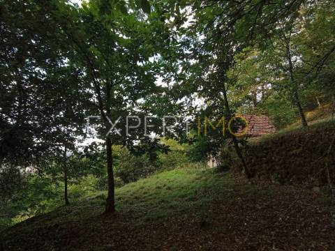 Terreno rústico com casa ade arrumos à venda em São Romão em plena Serra da Estrela