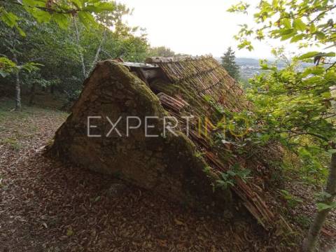 Terreno rústico com casa ade arrumos à venda em São Romão em plena Serra da Estrela