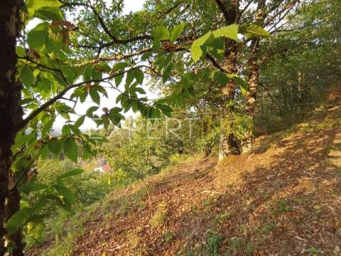 Terreno rústico com casa ade arrumos à venda em São Romão em plena Serra da Estrela