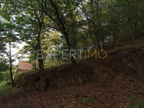 Terreno rústico com casa ade arrumos à venda em São Romão em plena Serra da Estrela