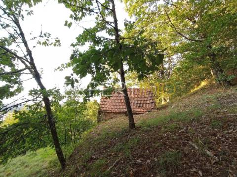 Terreno rústico com casa ade arrumos à venda em São Romão em plena Serra da Estrela