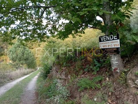 Terreno rústico com casa ade arrumos à venda em São Romão em plena Serra da Estrela