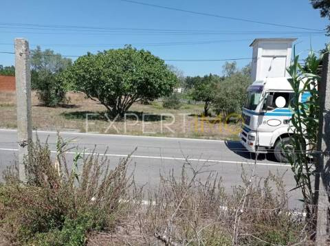Terreno na EN109 a 2 minutos da A17 e IC8