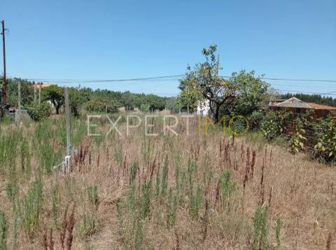 Terreno na EN109 a 2 minutos da A17 e IC8