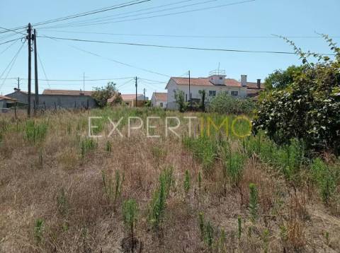 Terreno na EN109 a 2 minutos da A17 e IC8