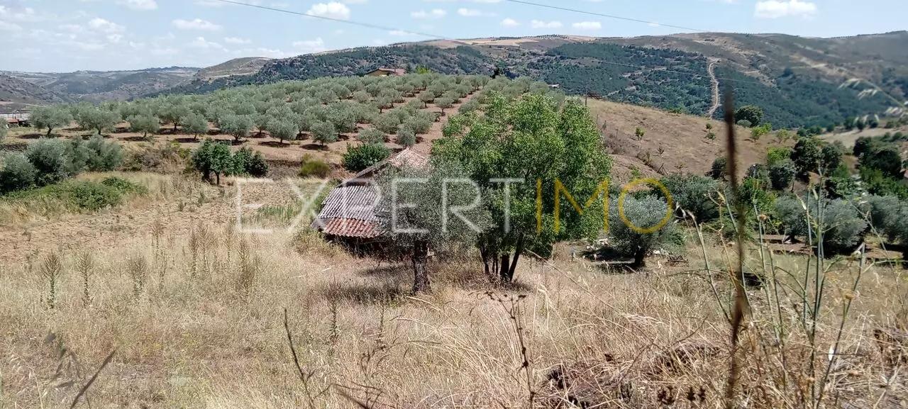 Venda de Lote de Terreno - 2000m² em Alfaião - Projecto Aprovado
