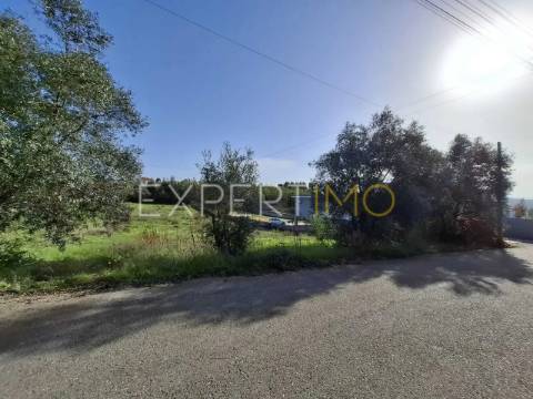Terreno Urbanizável rua do cotovelo, Sangalhos, Anadia