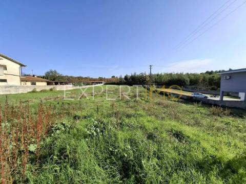 Terreno Urbanizável rua do cotovelo, Sangalhos, Anadia