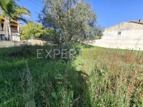 Terreno Urbanizável rua do cotovelo, Sangalhos, Anadia