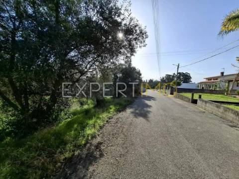 Terreno Urbanizável rua do cotovelo, Sangalhos, Anadia