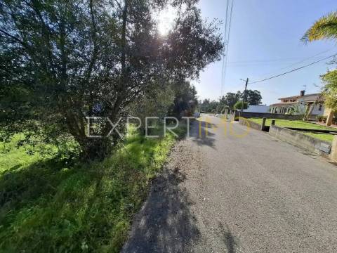 Terreno Urbanizável rua do cotovelo, Sangalhos, Anadia