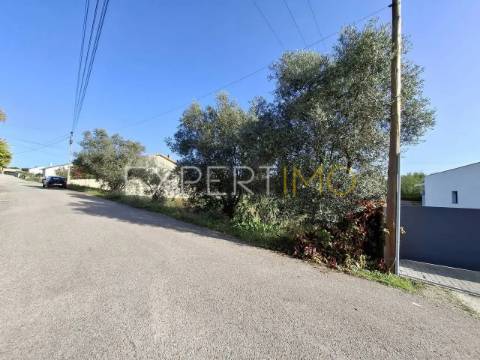 Terreno Urbanizável rua do cotovelo, Sangalhos, Anadia
