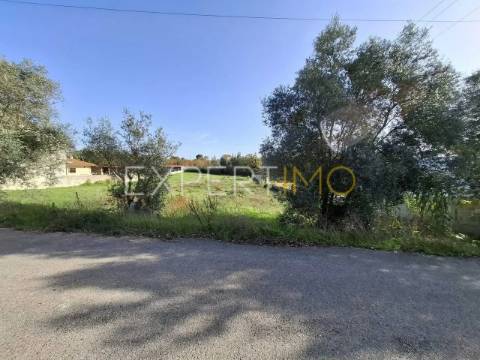 Terreno Urbanizável rua do cotovelo, Sangalhos, Anadia