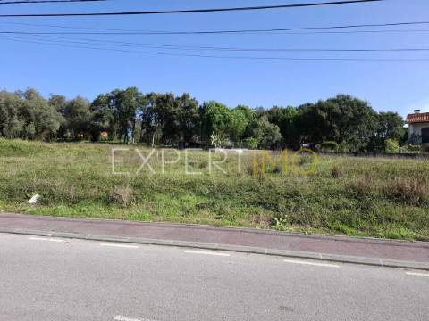 Terreno construção em Sangalhos com 2600 m2